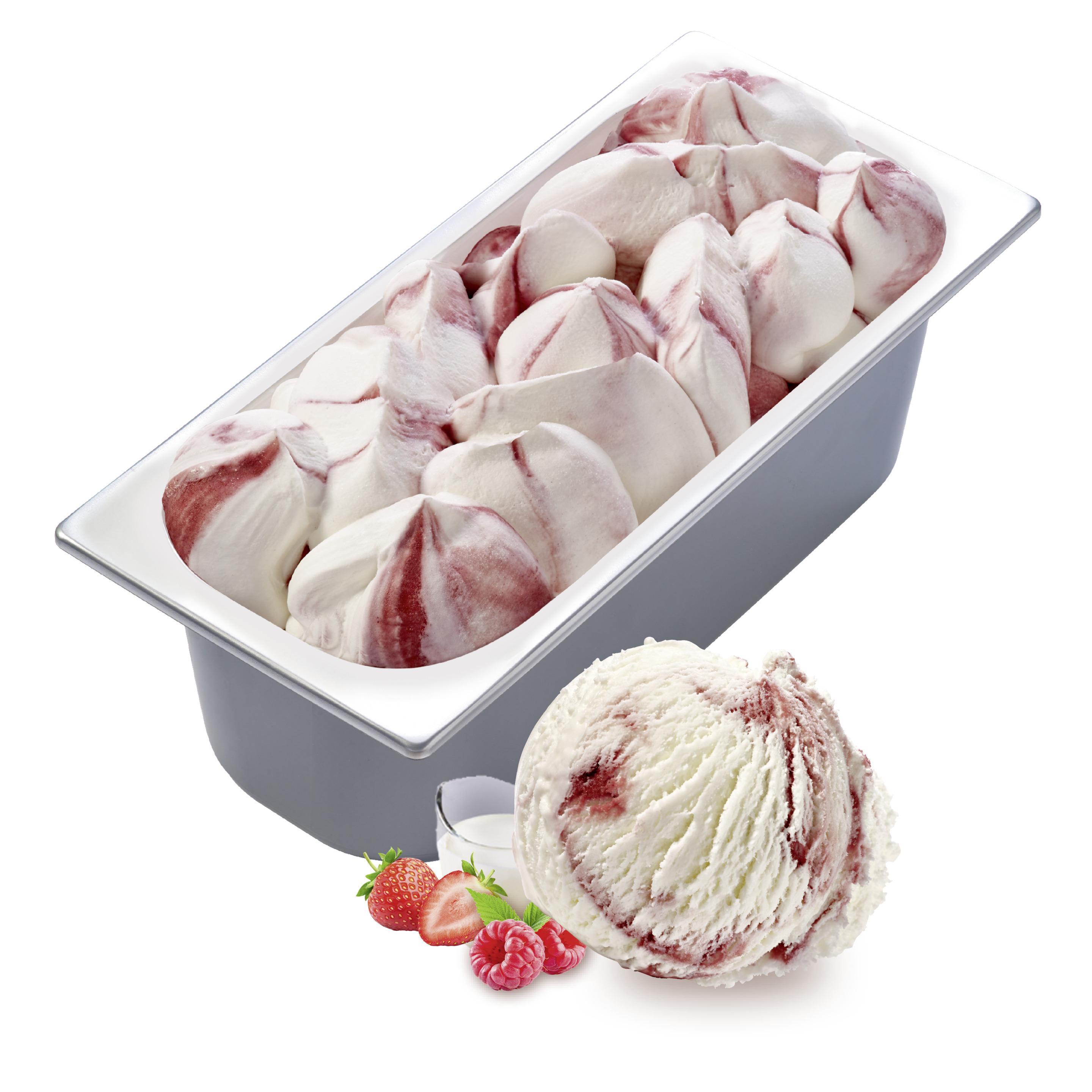 Carte D'Or Gelateria Joghurt Waldfrucht 1x5,5l Glacebidon