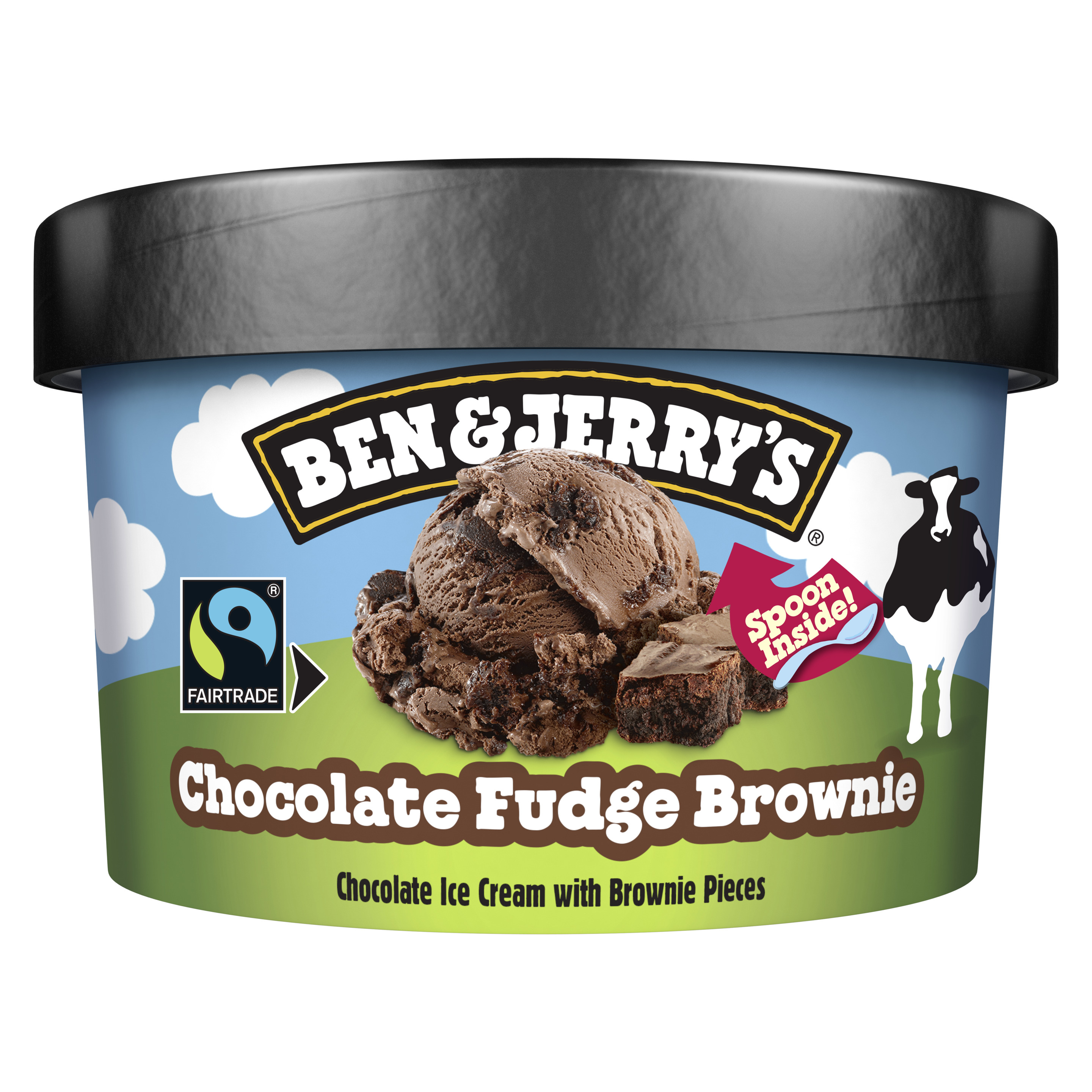 Ben & Jerry's Chocolate Fudge Brownie 100 ml