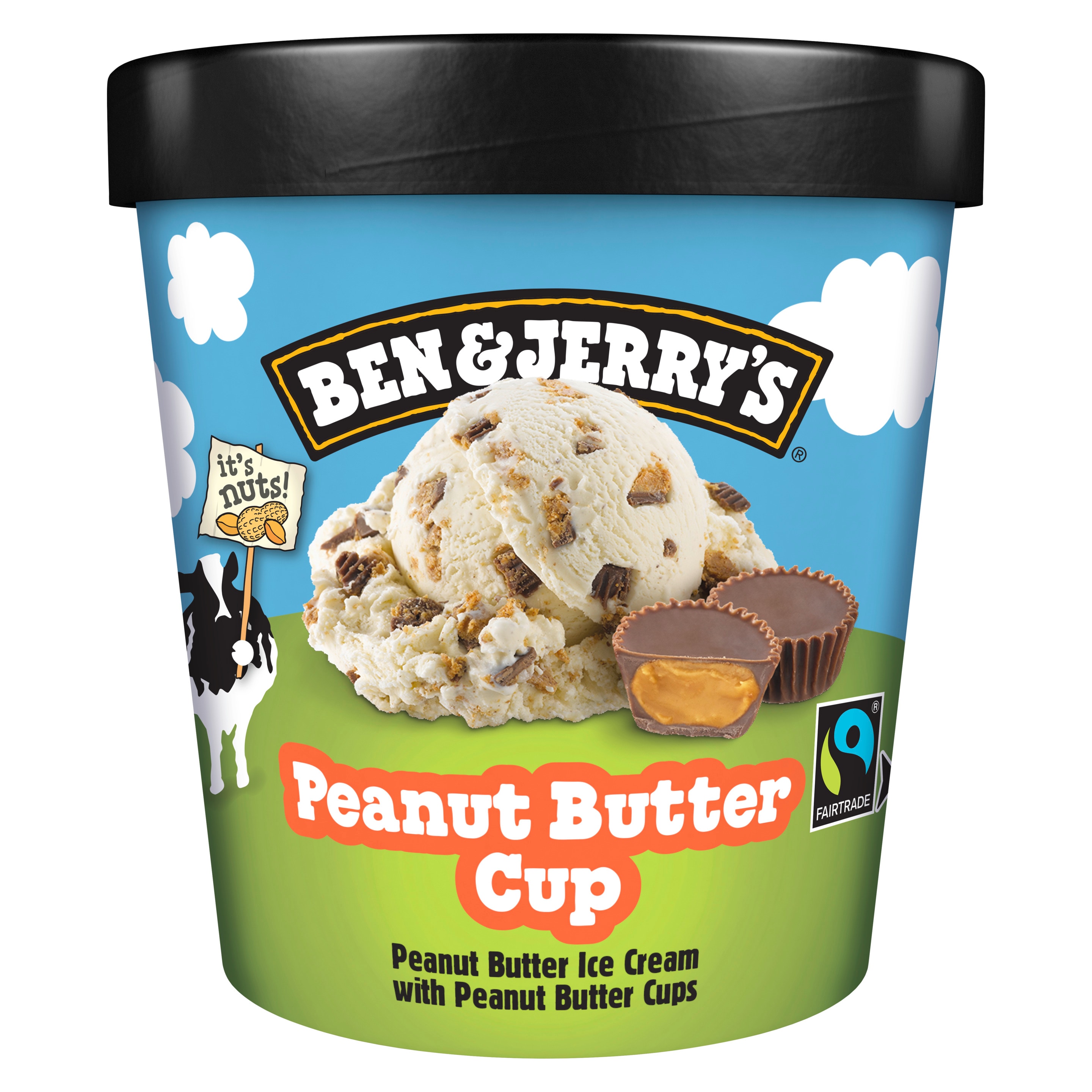 BEN & JERRY'S Peanut Butter Cup 465 ml