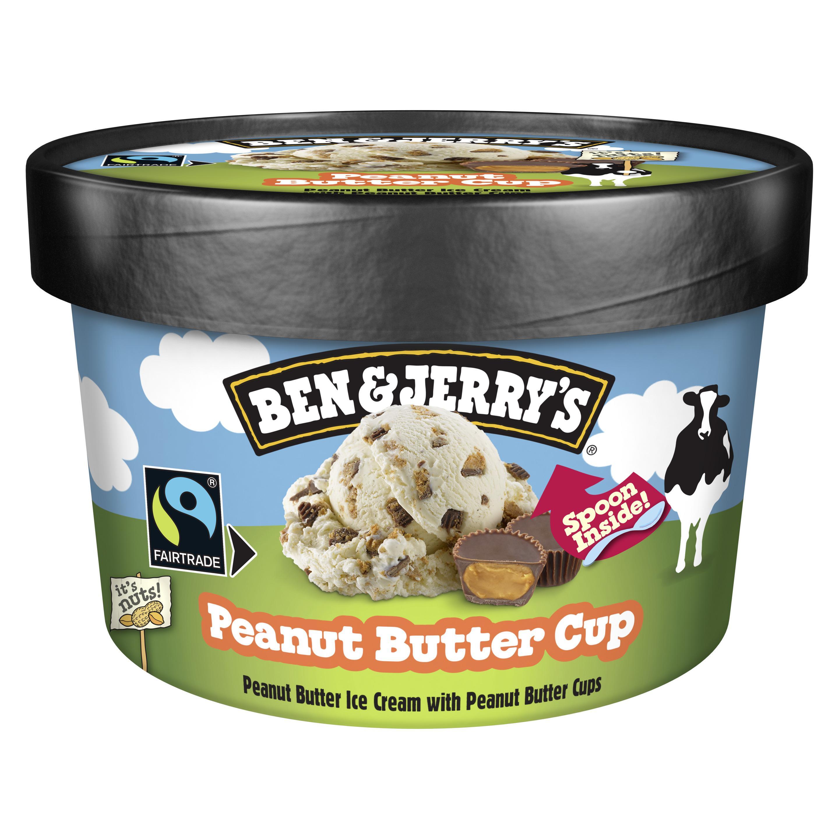 BEN & JERRY'S Peanut Butter Cup 100 ml