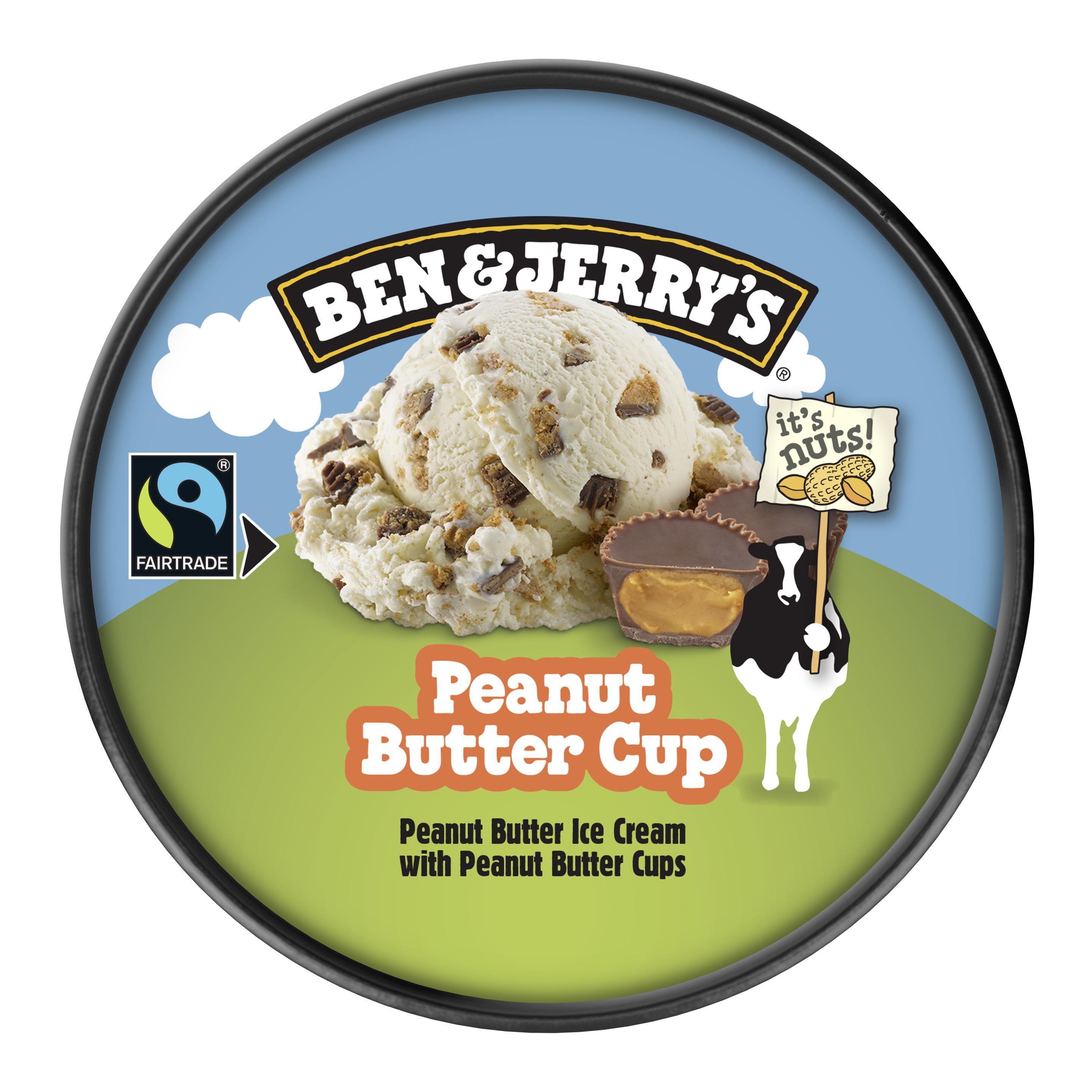 BEN & JERRY'S Peanut Butter Cup 100 ml
