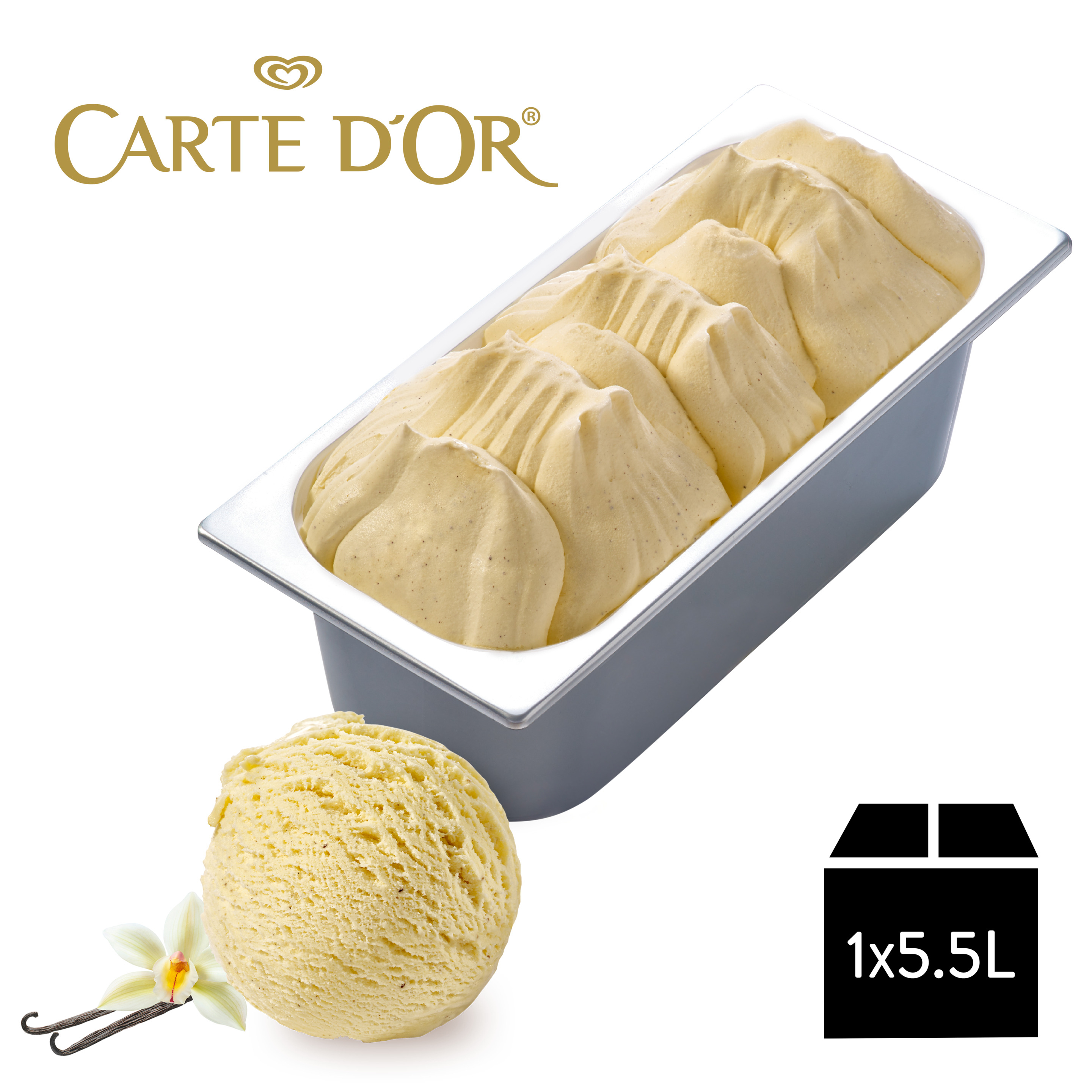 Carte D'Or Gelateria Vanille 1x5,5l Glacebidon