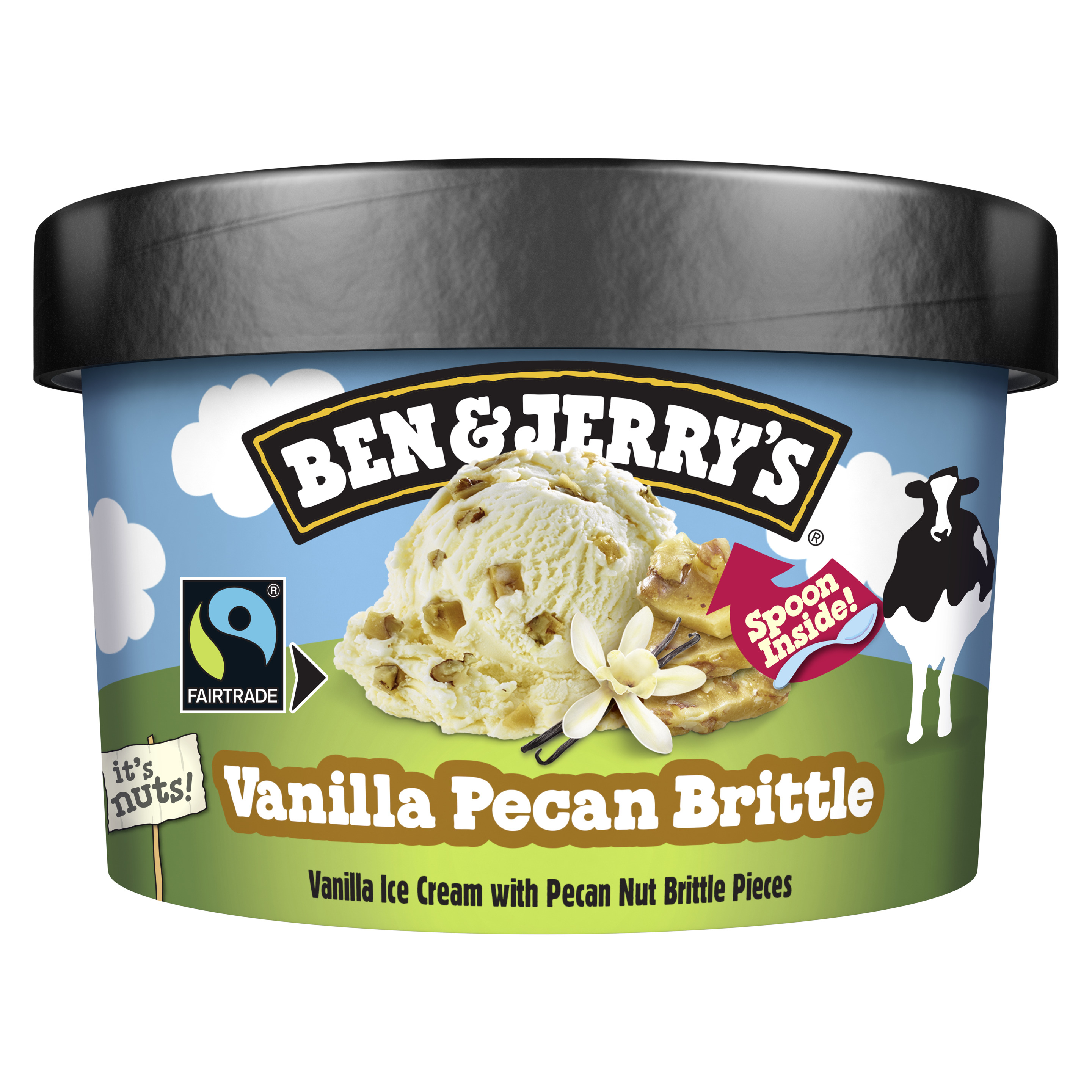 BEN & JERRY'S Vanilla Pecan 100 ml
