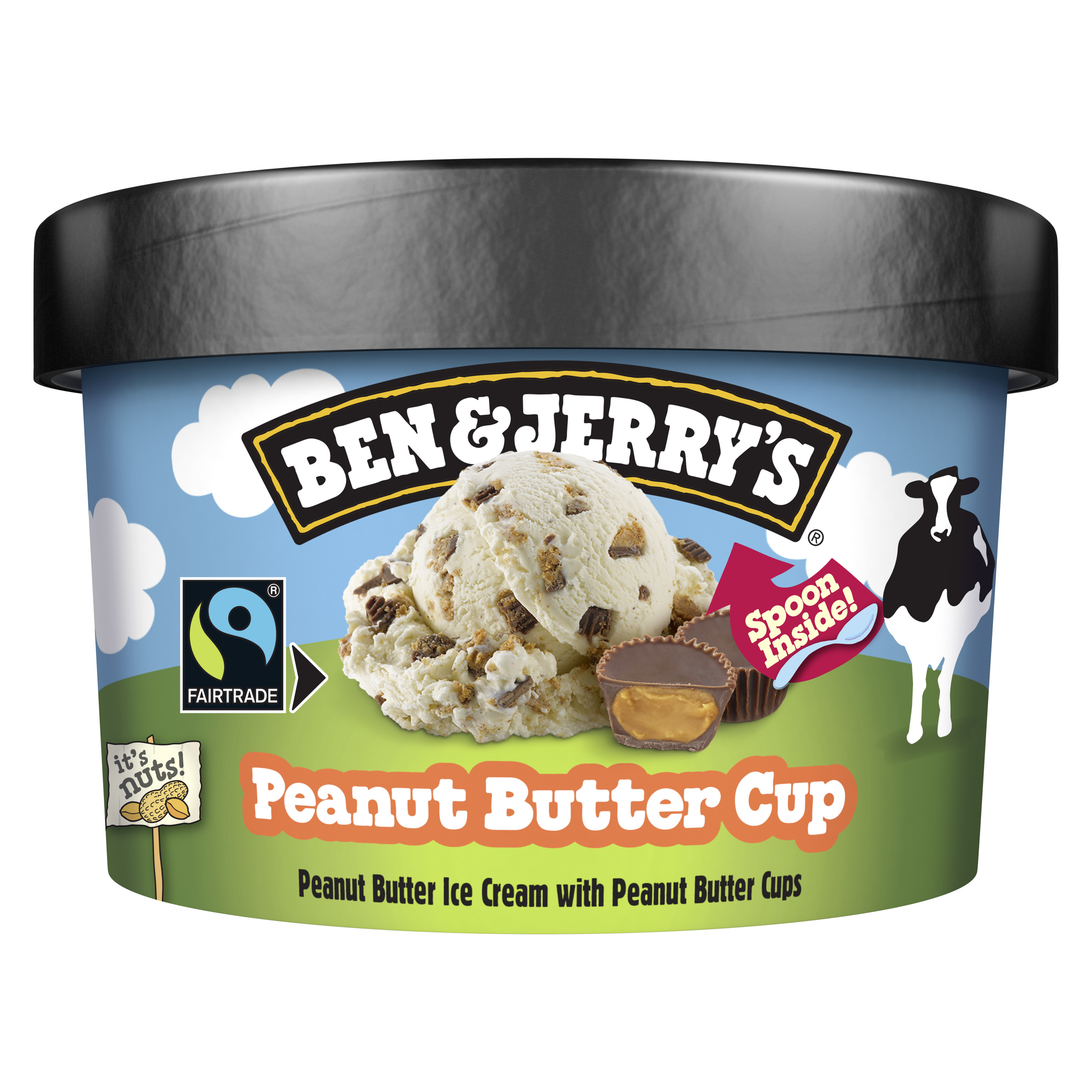 BEN & JERRY'S Peanut Butter Cup 100 ml
